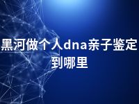 黑河做个人dna亲子鉴定到哪里