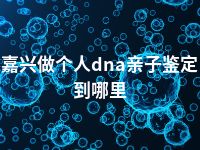 嘉兴做个人dna亲子鉴定到哪里