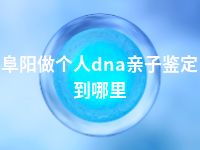 阜阳做个人dna亲子鉴定到哪里