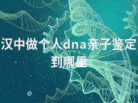 汉中做个人dna亲子鉴定到哪里