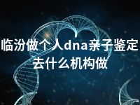 临汾做个人dna亲子鉴定去什么机构做