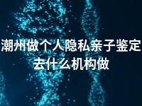 潮州做个人隐私亲子鉴定去什么机构做