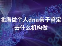 北海做个人dna亲子鉴定去什么机构做