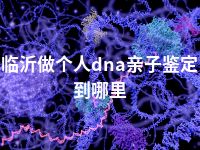 临沂做个人dna亲子鉴定到哪里