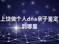 上饶做个人dna亲子鉴定到哪里