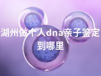 湖州做个人dna亲子鉴定到哪里