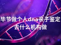 毕节做个人dna亲子鉴定去什么机构做