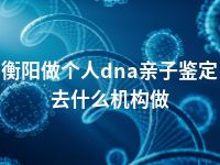 衡阳做个人dna亲子鉴定去什么机构做