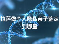 拉萨做个人隐私亲子鉴定到哪里