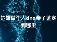 楚雄做个人dna亲子鉴定到哪里