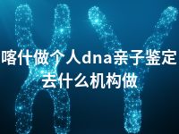 喀什做个人dna亲子鉴定去什么机构做