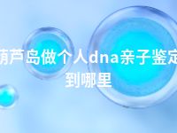 葫芦岛做个人dna亲子鉴定到哪里