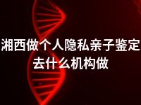 湘西做个人隐私亲子鉴定去什么机构做