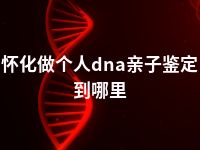 怀化做个人dna亲子鉴定到哪里