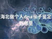 海北做个人dna亲子鉴定到哪里