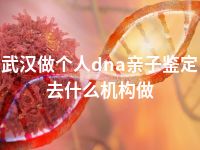 武汉做个人dna亲子鉴定去什么机构做