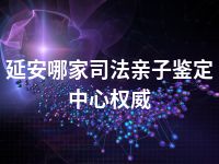 延安哪家司法亲子鉴定中心权威