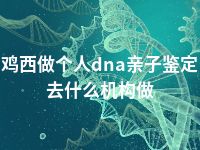 鸡西做个人dna亲子鉴定去什么机构做