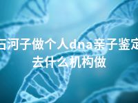 石河子做个人dna亲子鉴定去什么机构做