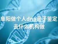 阜阳做个人dna亲子鉴定去什么机构做