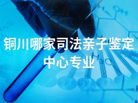 铜川哪家司法亲子鉴定中心专业