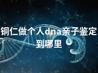 铜仁做个人dna亲子鉴定到哪里