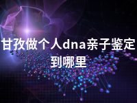 甘孜做个人dna亲子鉴定到哪里