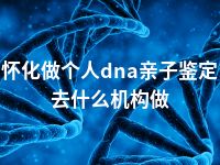 怀化做个人dna亲子鉴定去什么机构做