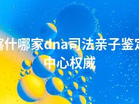 喀什哪家dna司法亲子鉴定中心权威