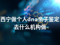 西宁做个人dna亲子鉴定去什么机构做