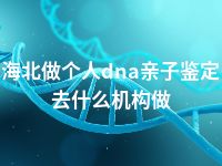 海北做个人dna亲子鉴定去什么机构做