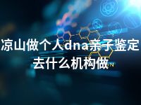 凉山做个人dna亲子鉴定去什么机构做