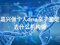 嘉兴做个人dna亲子鉴定去什么机构做