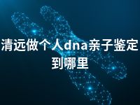 清远做个人dna亲子鉴定到哪里