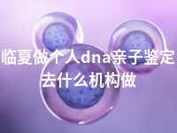 临夏做个人dna亲子鉴定去什么机构做