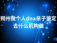 朔州做个人dna亲子鉴定去什么机构做