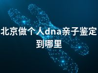 北京做个人dna亲子鉴定到哪里