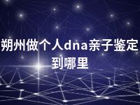 朔州做个人dna亲子鉴定到哪里