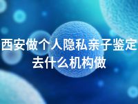 西安做个人隐私亲子鉴定去什么机构做