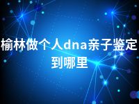 榆林做个人dna亲子鉴定到哪里