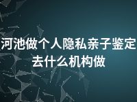 河池做个人隐私亲子鉴定去什么机构做