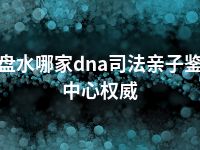 六盘水哪家dna司法亲子鉴定中心权威