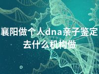 襄阳做个人dna亲子鉴定去什么机构做