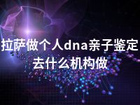 拉萨做个人dna亲子鉴定去什么机构做