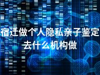 宿迁做个人隐私亲子鉴定去什么机构做