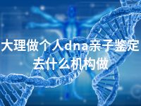 大理做个人dna亲子鉴定去什么机构做