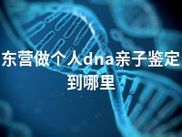 东营做个人dna亲子鉴定到哪里