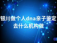 银川做个人dna亲子鉴定去什么机构做