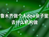 乌鲁木齐做个人dna亲子鉴定去什么机构做