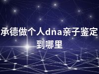 承德做个人dna亲子鉴定到哪里